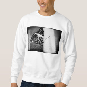 Sudadera cruzamiento de mariposa