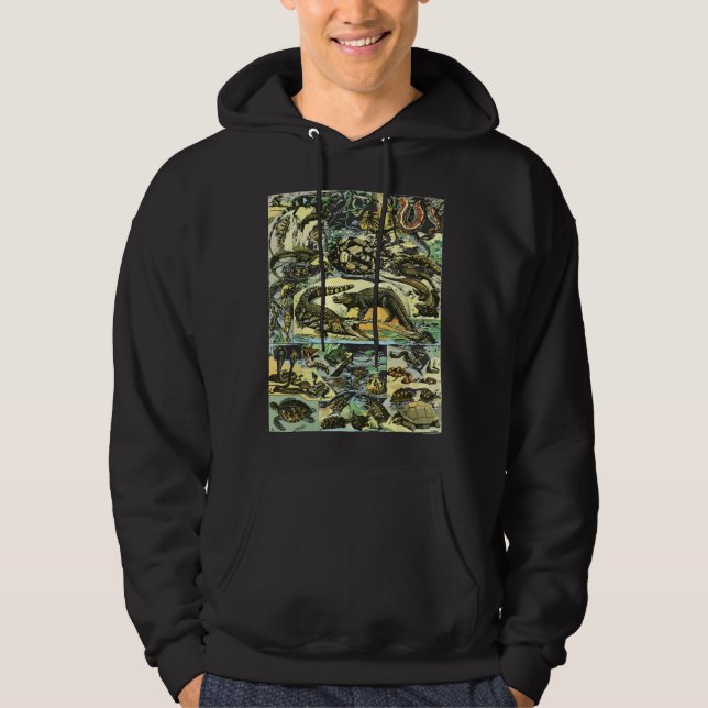 Sudadera Cuadro de Colección de Reptiles Tortuga Especie de (Anverso)