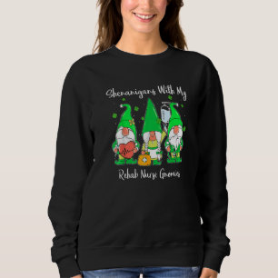 Sudadera Curiosos Shenanigans Con Mis Gnomies Rehab Enferme