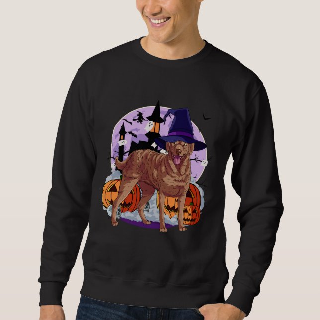 Sudadera Cute Chesapeake Bay Retriever Halloween Witch Pump (Anverso)