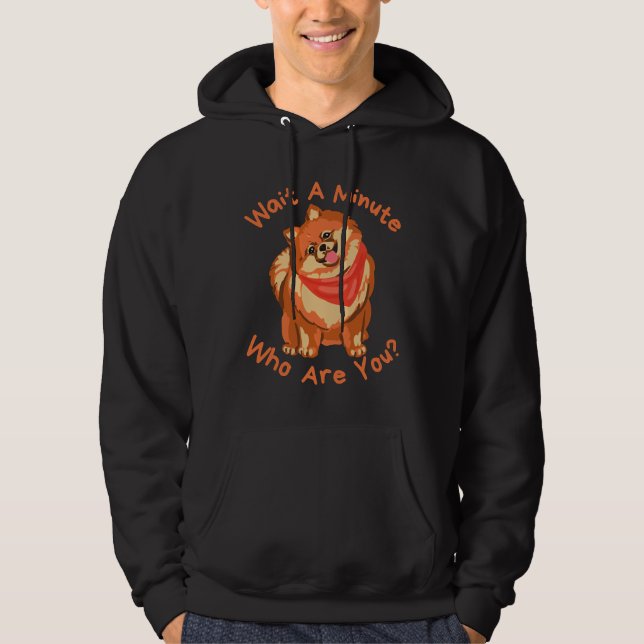 Sudadera Cute Naranja Pomeranian (Anverso)