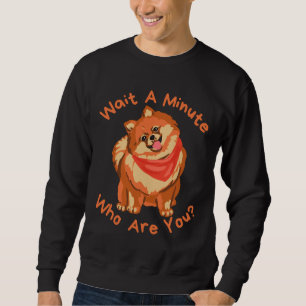 Sudadera Cute Naranja Pomeranian