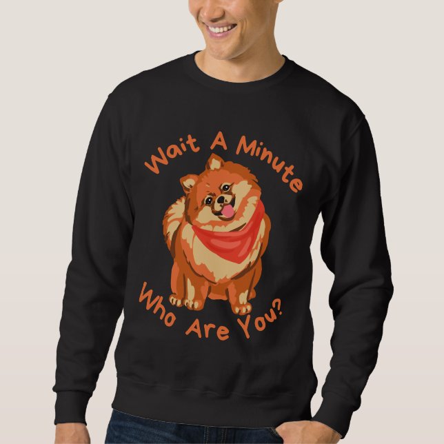 Sudadera Cute Naranja Pomeranian (Anverso)