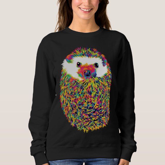 Sudadera Cute Rainbow Hedgehog (Anverso)