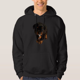 Sudadera Cute Rottweiler Puppy Drooling Milk Vector Cut Out