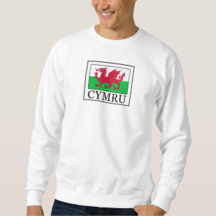 Sudadera Cymru