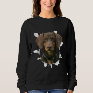 Sudadera Dachshund Dachshund