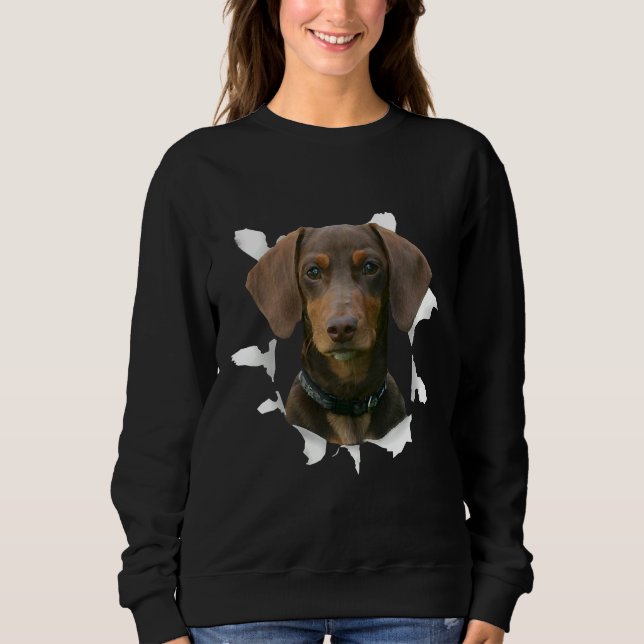 Sudadera Dachshund Dachshund (Anverso)
