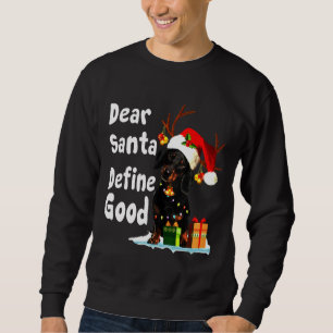 Sudadera Dachshund Define