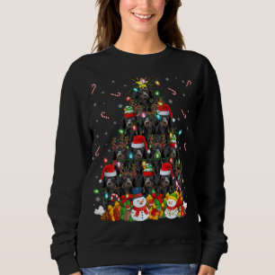 Sudadera Dachshund Dog Xmas Árbol de iluminación Santa Dach