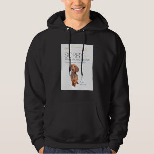 Sudadera Dachshund Online Shop Ecommerce Vendedor 404 Dog P