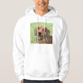 Sudadera Dachshund T-Shirt