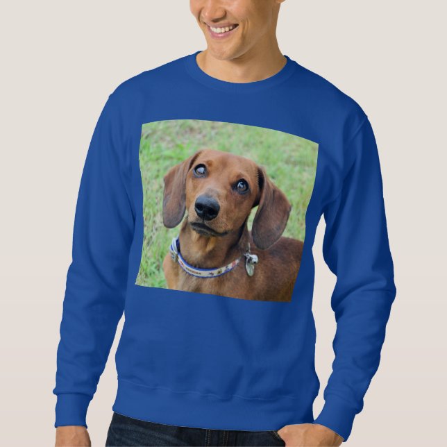 Sudadera Dachshund T-Shirt (Anverso)