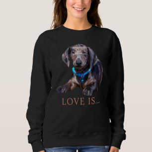 Sudadera Dachshund Weiner Perro Mamá Papá Ama Doxie Cortar