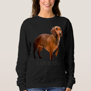 Sudadera Dachshund Weiner Perro Mamá Papá Ama Doxie Puppy C