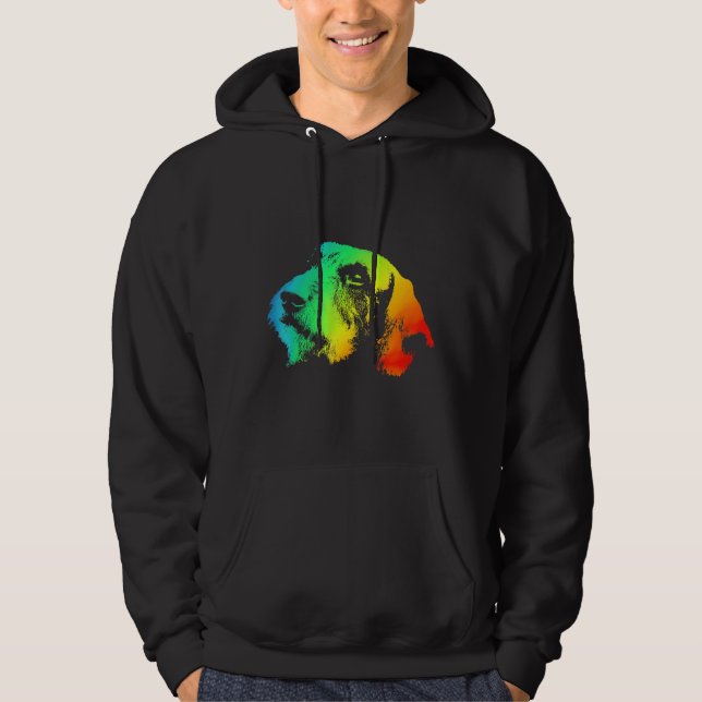 Sudadera Dachshund Wire Hair Colorous Rainbow Retro (Anverso)