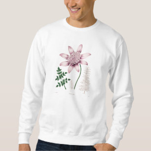 Sudadera Dalias rosadas de la flor de la dalia de los 1800s