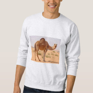 Sudadera de hombre ceniza ME ENCANTA SAHARA