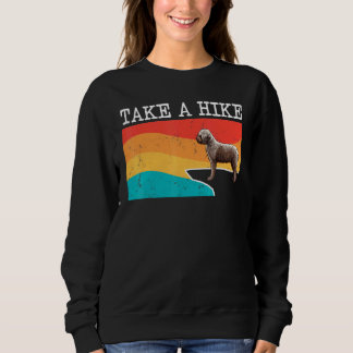 Sudadera Dé Un Recorrido Gráfico En Lagotti Romagnoli