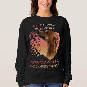 Sudadera De Vez En Cuando, Un Galgo Griego Entra En Tu Vida