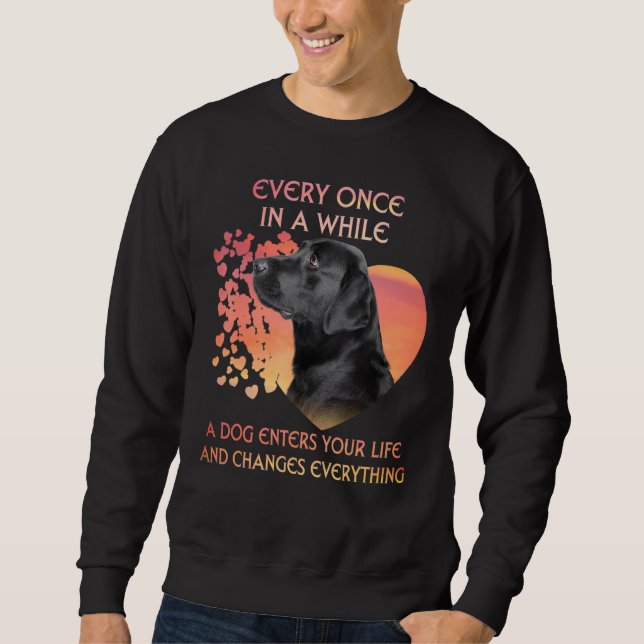 Sudadera De Vez En Cuando Un Labrador Negro Te Entra (Anverso)