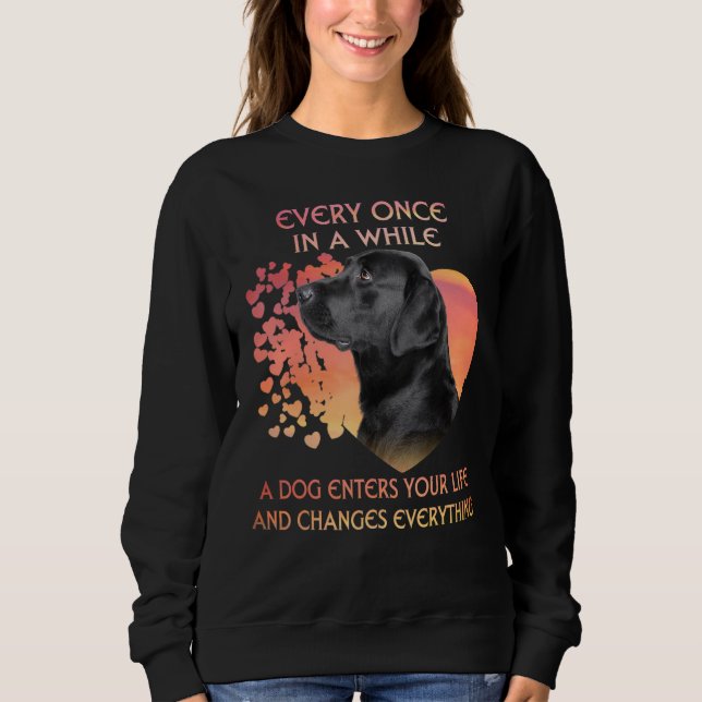 Sudadera De Vez En Cuando Un Labrador Negro Te Entra (Anverso)