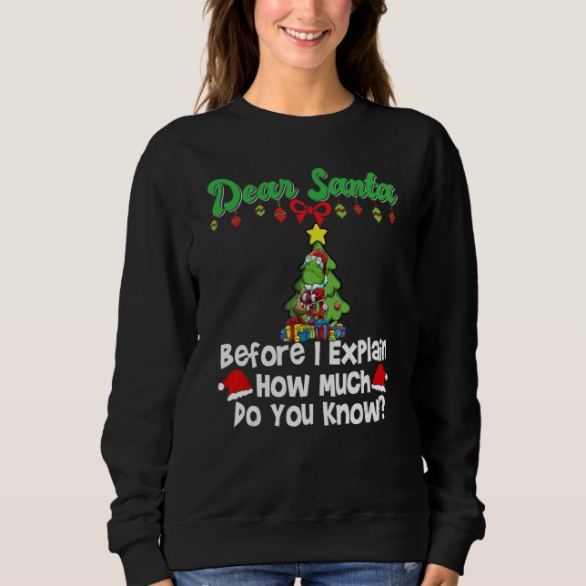 Sudadera Dear Santa Before I Explain How Much Do You Know_6 (Anverso)