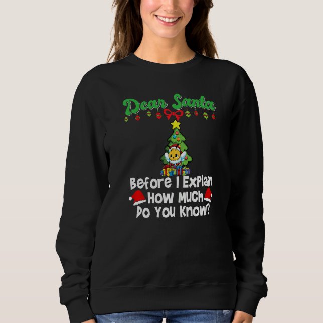 Sudadera Dear Santa Before I Explain How Much Do You Know P (Anverso)