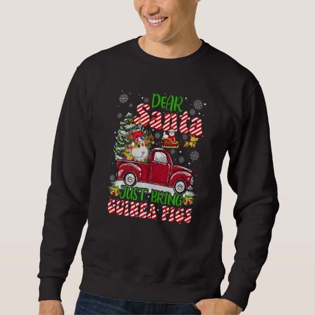 Sudadera Dear Santa Just Bring Guinea Pigs Santa Reindeer F (Anverso)