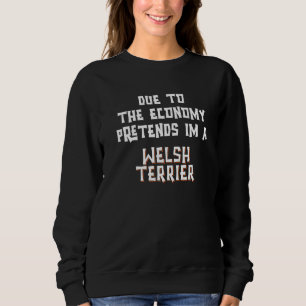 Sudadera Debido a la economía fingir WELSH TERRIER Disfraz 