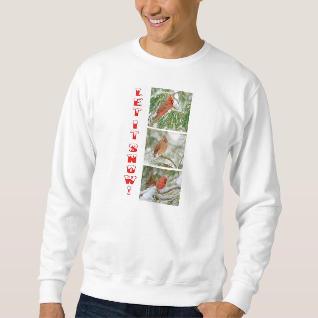 Sudadera Dejáis le nevar camiseta (Anverso)