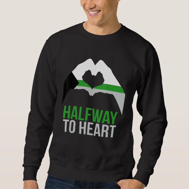Sudadera Demiromantic Joke Heart Love Demiromantic Flag (Anverso)