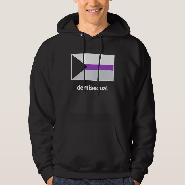 Sudadera Demisexual Pride Flag Demisexual Flag (Anverso)