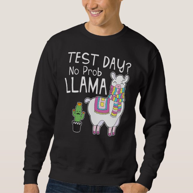 Sudadera Día de prueba No Prob Llama Día de prueba de profe (Anverso)