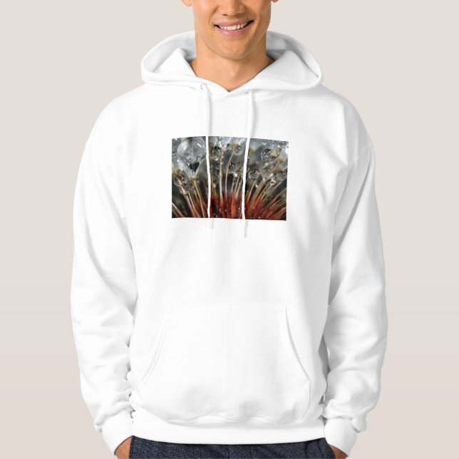 Sudadera Diente de león y gotas de agua, CA (Anverso)