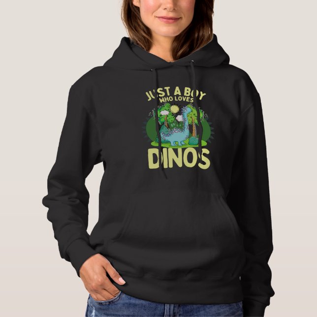 Sudadera Dinosaur Dino Just A Boy Who Loves Dinosaurs Dinos (Anverso)