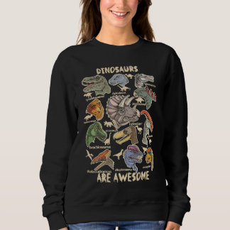 Sudadera Dinosaurs are Awesome Dino Identification Kids Boy