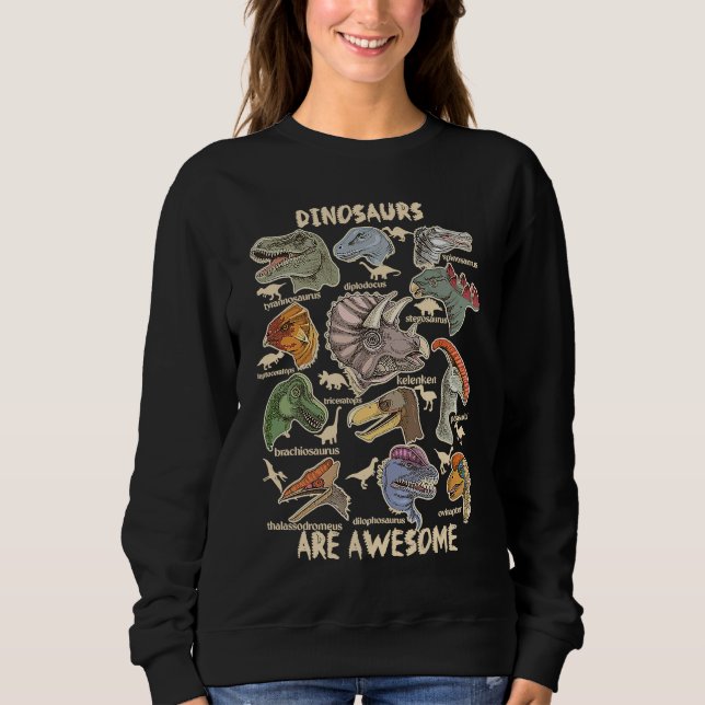 Sudadera Dinosaurs are Awesome Dino Identification Kids Boy (Anverso)