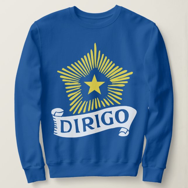 Sudadera Dirigo (Anverso del diseño)