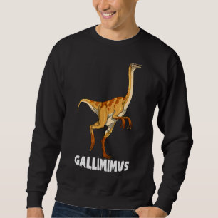 Sudadera Diseño de dinosaurios Gallimimus