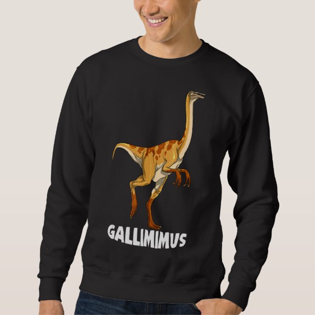 Sudadera Diseño de dinosaurios Gallimimus (Anverso)