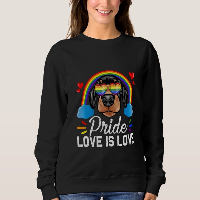 Sudadera Diversión Lgbt Orgullo Amor Arcoiris Dachshund Per (Anverso)
