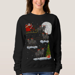 Sudadera Divertido árbol de alumbrado navideño Santa Riding