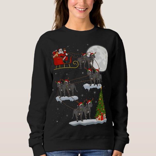Sudadera Divertido árbol de alumbrado navideño Santa Riding (Anverso)