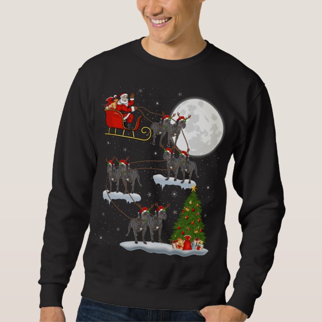 Sudadera Divertido árbol de alumbrado navideño Santa Riding (Anverso)