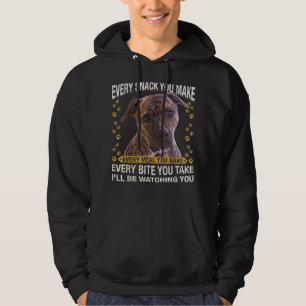 Sudadera Divertido, no juzgues a mi Pitbull y no te juzgaré