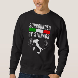 Sudadera Divertidos dichos italianos rodeados de Stunads It