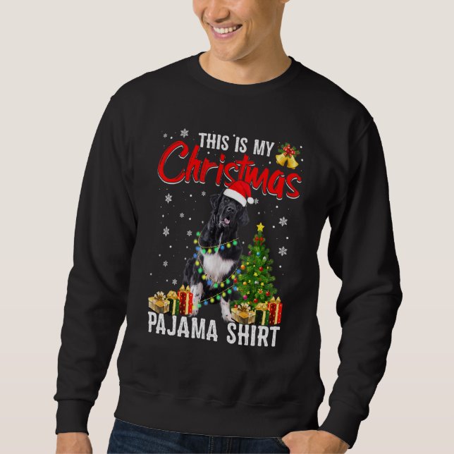 Sudadera Divertidos Navidades de perros de Terranova ilumin (Anverso)