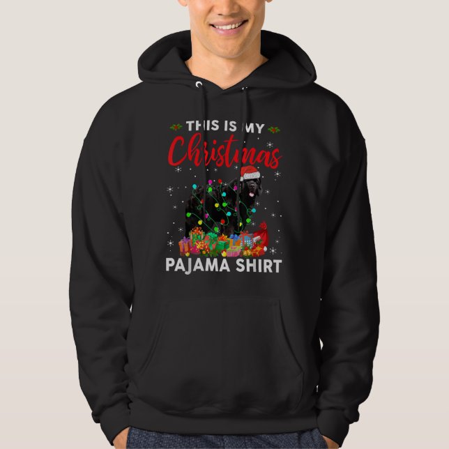 Sudadera Divertidos Navidades de perros de Terranova ilumin (Anverso)