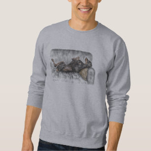 Sudadera Doberman gracioso en Sofa